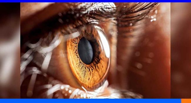 ලෝක දෘෂ්ටි දිනය අදයි...